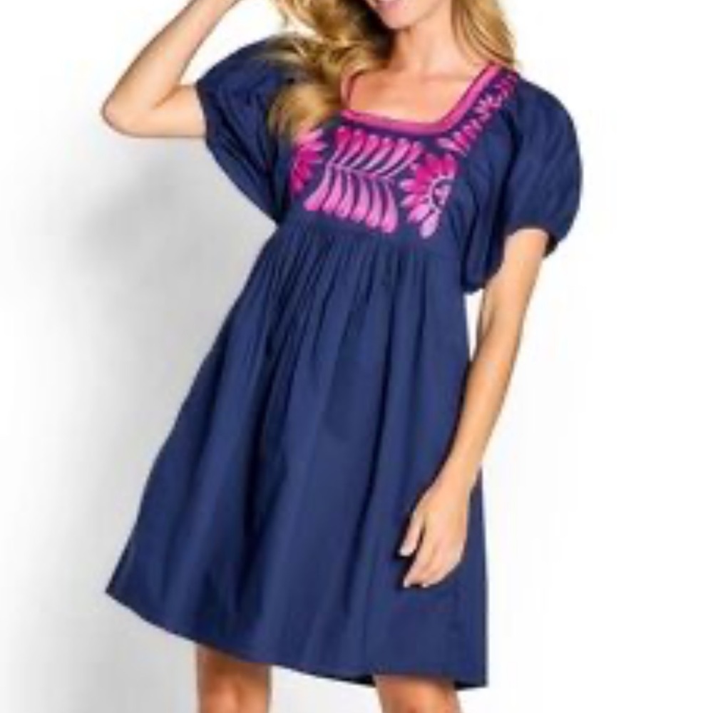 Navy and Pink Embroidered Mini Dress